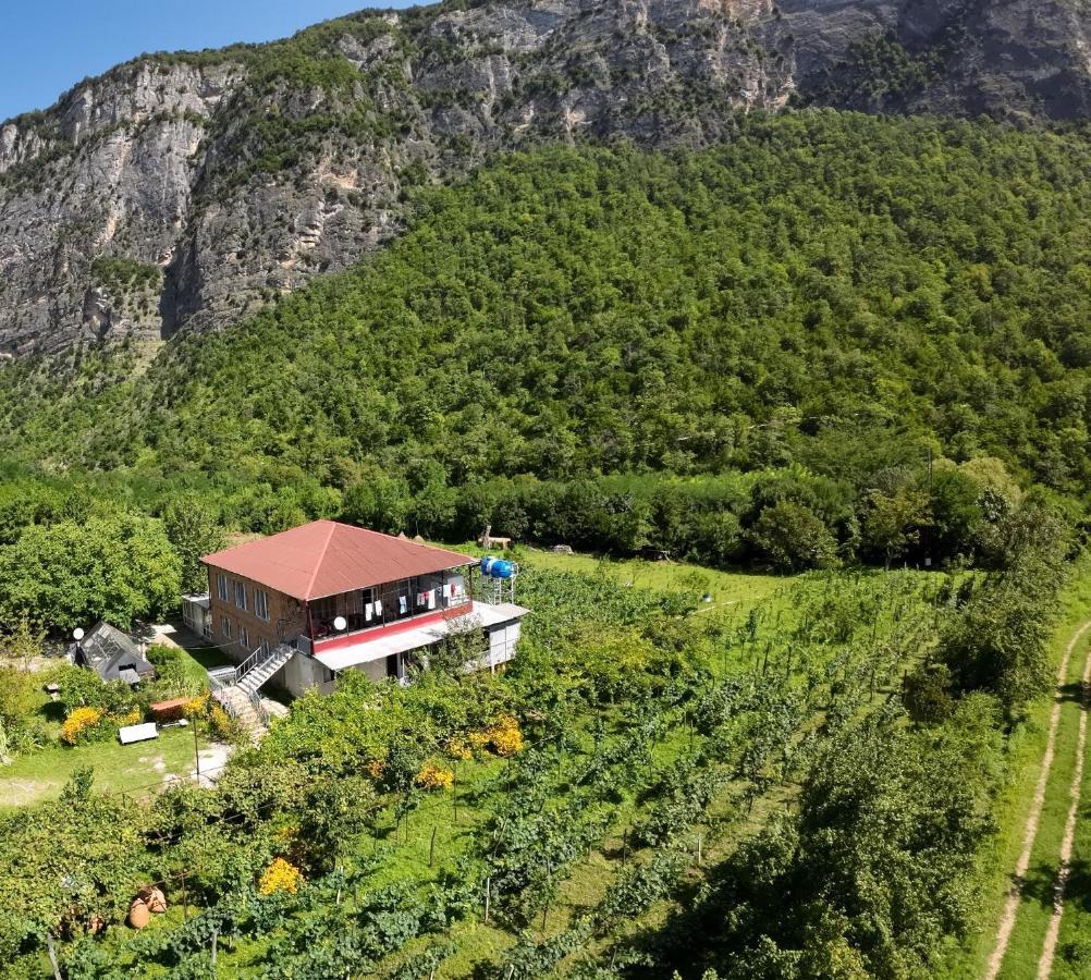 Guest House Oasis - Tvishi Exterior foto